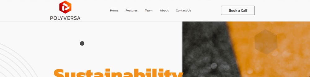 Polyversa Website Preview